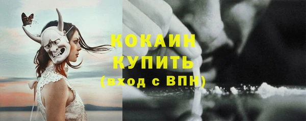 PSILOCYBIN Балахна