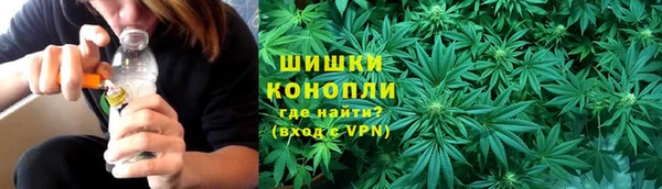 PSILOCYBIN Балахна
