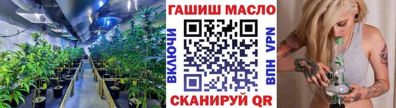 ТГК Wax  Ядрин 