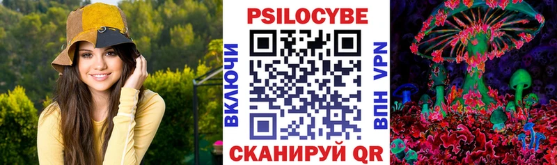 купить закладку  Ядрин  Псилоцибиновые грибы GOLDEN TEACHER 