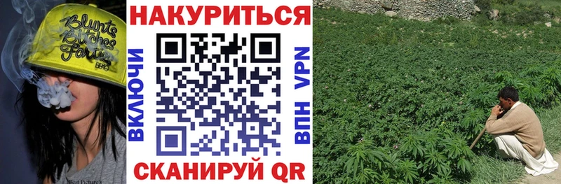 ОМГ ОМГ рабочий сайт  Ядрин  Канабис семена 